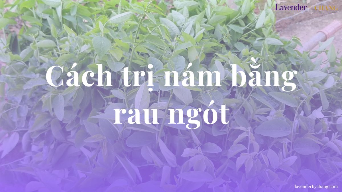 cách trị nám bằng rau ngót