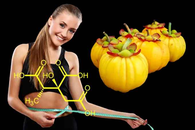 Quả bứa có tác dụng giảm cân, ngừa mỡ máu