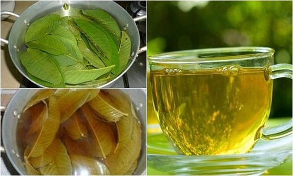uong nuoc la oi hang ngay co giam can khong 2 - lavender by chang