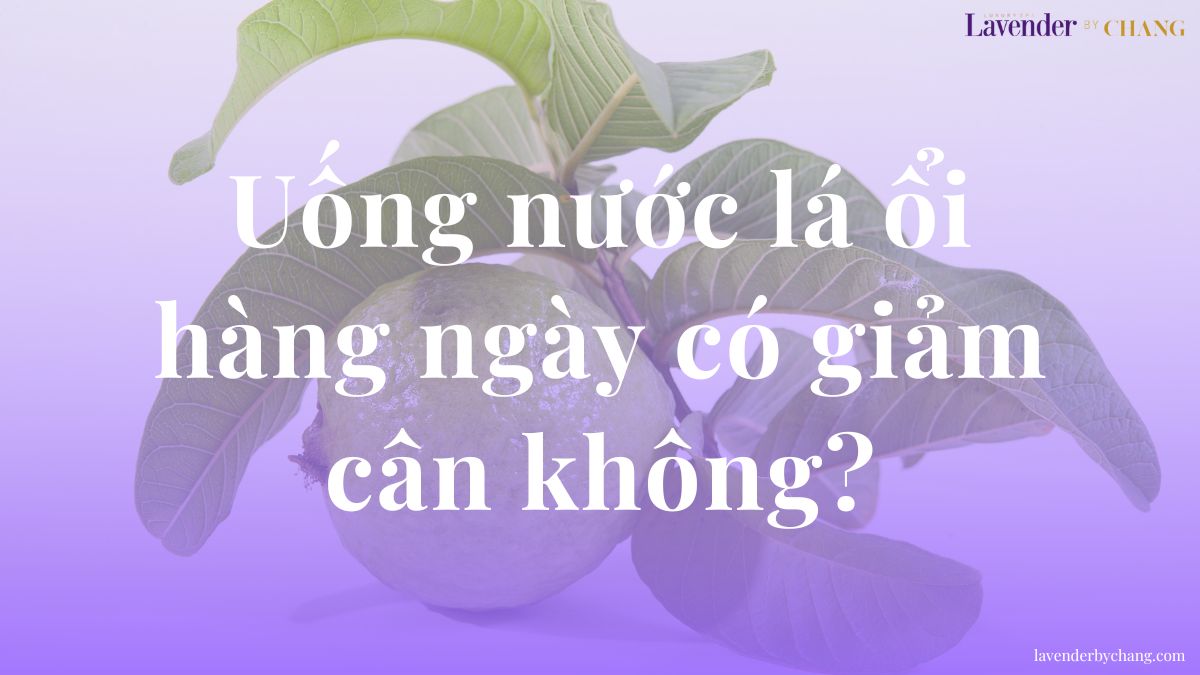 uống nước lá ổi hàng ngày có giảm cân không