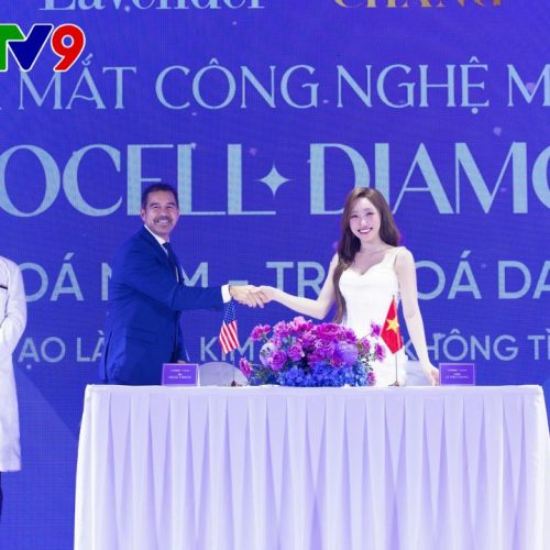 vtv dua tin lavender by chang ra mat nanocell diamond cover - lavender by chang