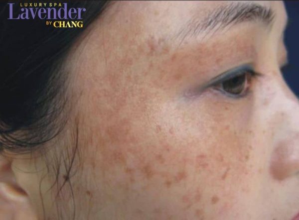 25496 1 e1763345843203 - lavender by chang