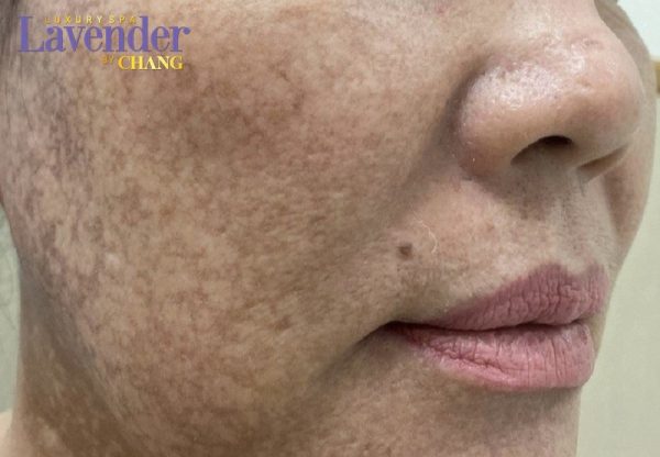 25496 7 e1763345900815 - lavender by chang