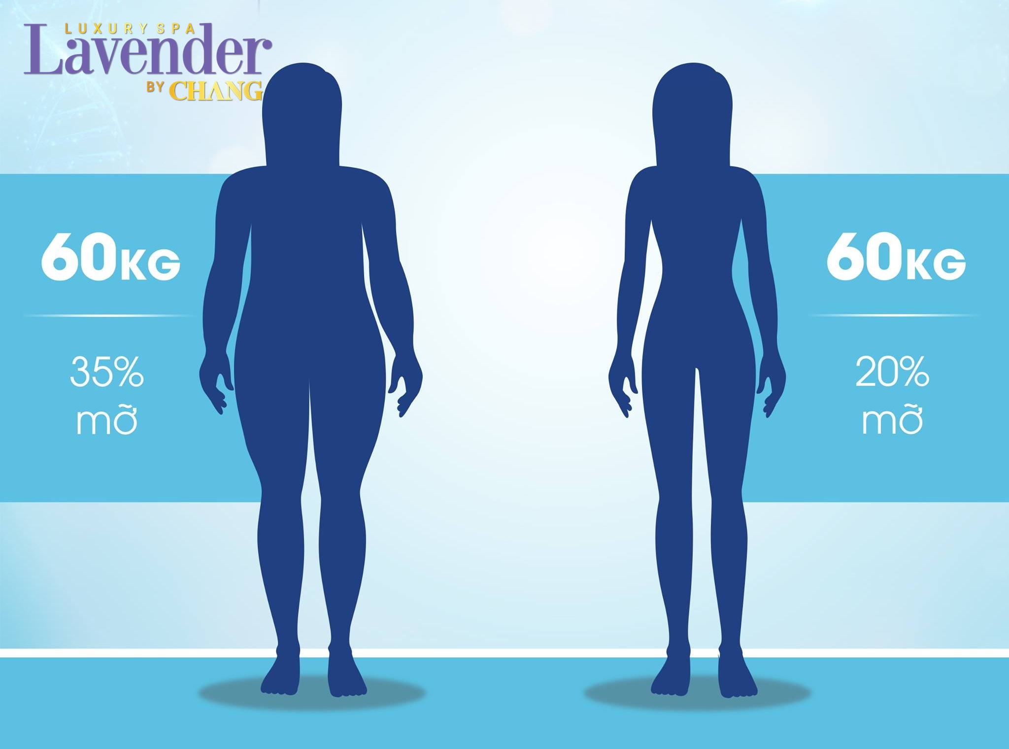 giam can hay giam mo2 - lavender by chang