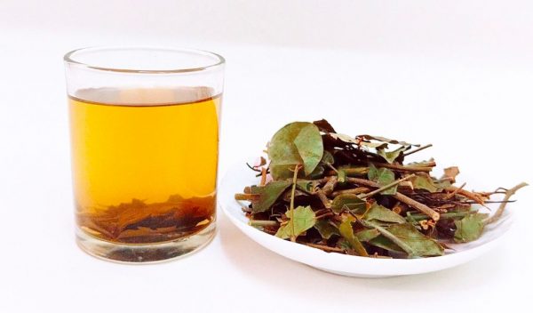 nguoi binh thuong uong che vang co giam can khong 25647 2 e1763948986393 - lavender by chang