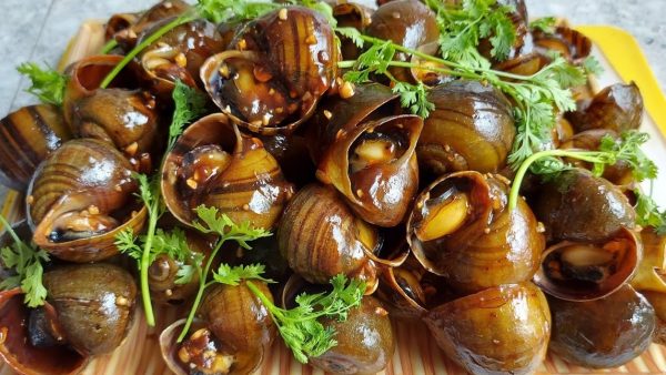 an oc co map khong 26503 e1765940628597 - lavender by chang