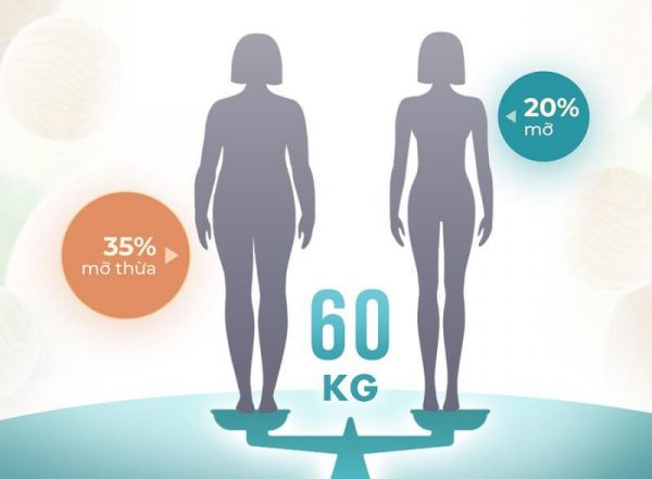 nu cao 1m60 nang 60kg co beo khong 26564 1 e1766370564103 - lavender by chang