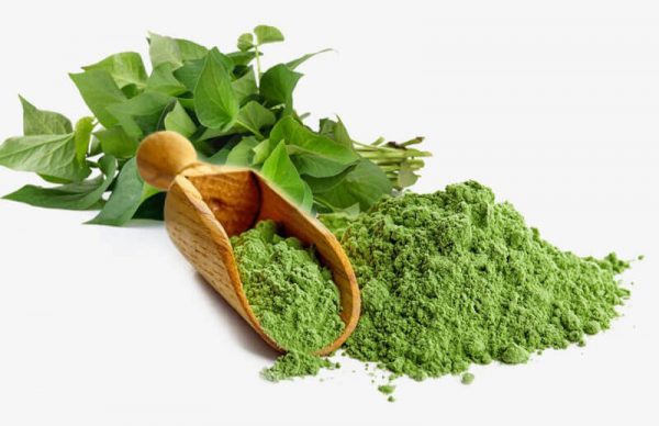 uong rau diep ca co giam can khong 26631 5 e1766480515455 - lavender by chang