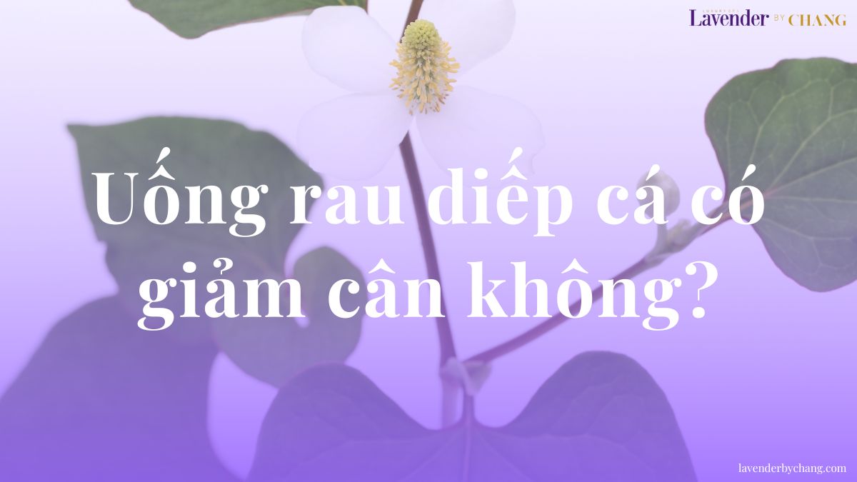 uống rau diếp cá có giảm cân không