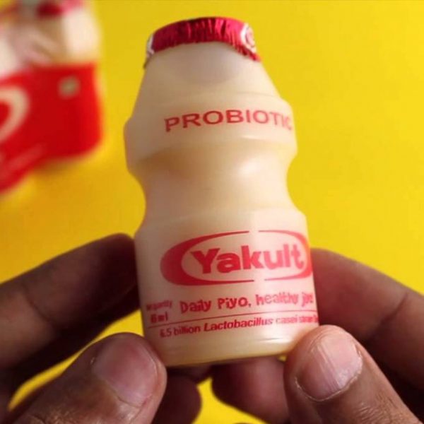 uong yakult co beo khong 26437 2 e1765510593593 - lavender by chang