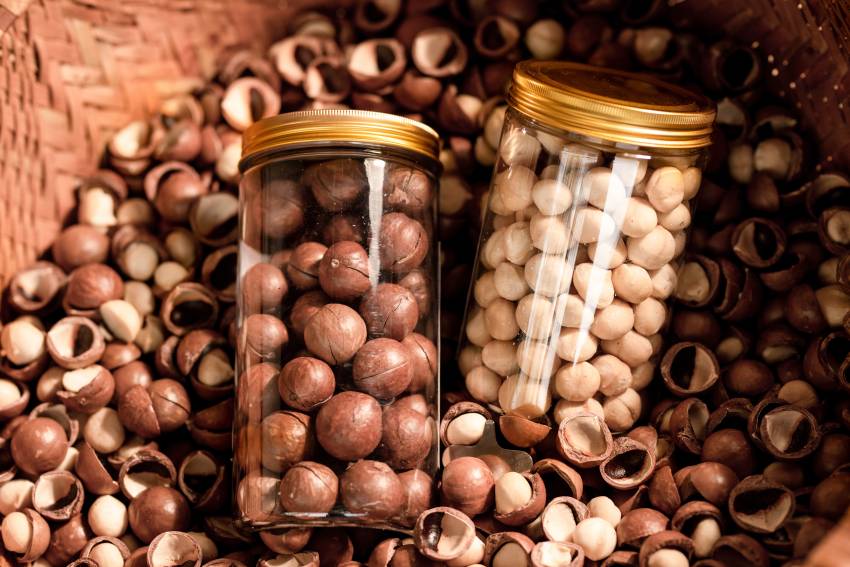 Hạt macca có thể được sử dụng để thay thế các loại snack không tốt cho sức khoẻ