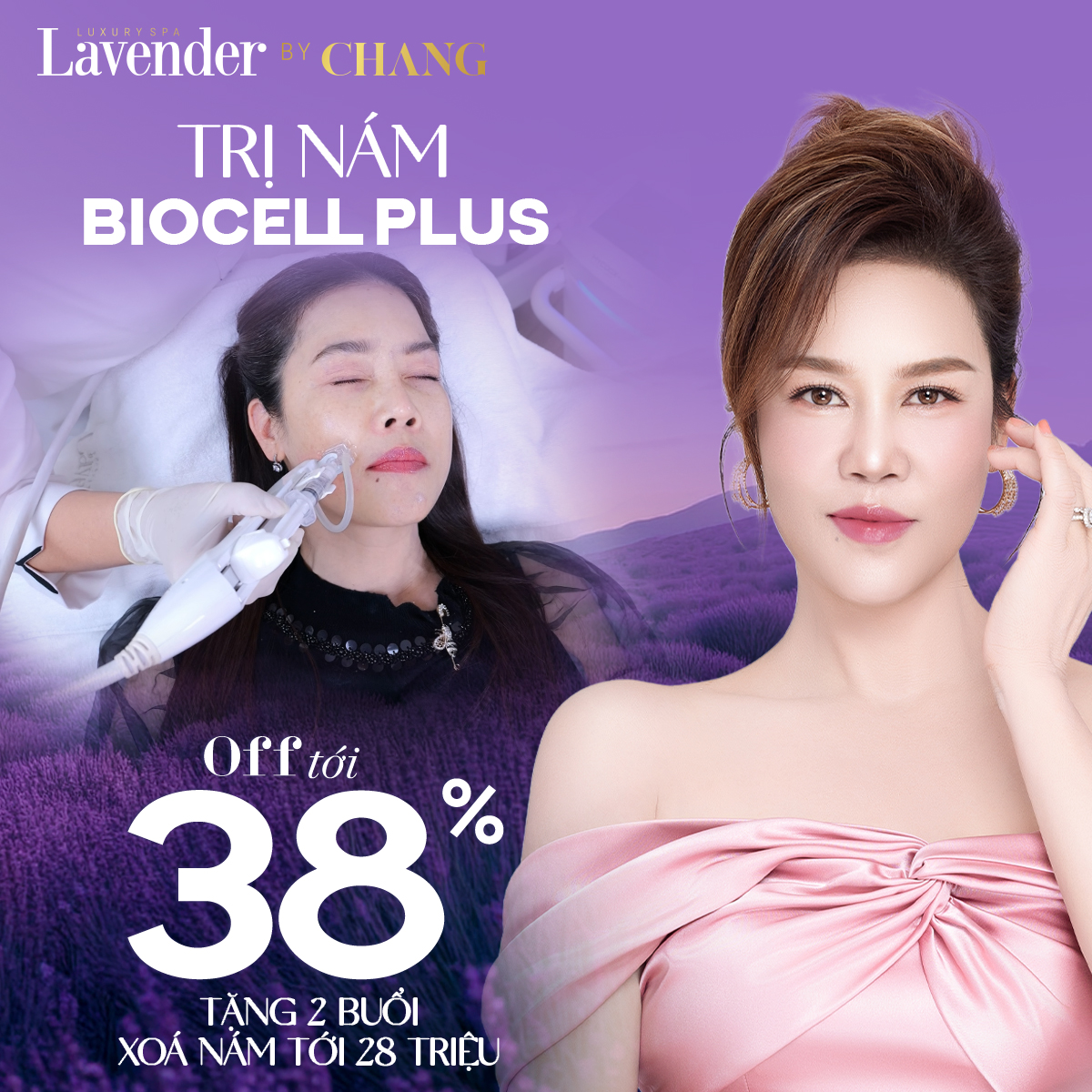 645564640 977141751546555 809179477735385074 n - lavender by chang