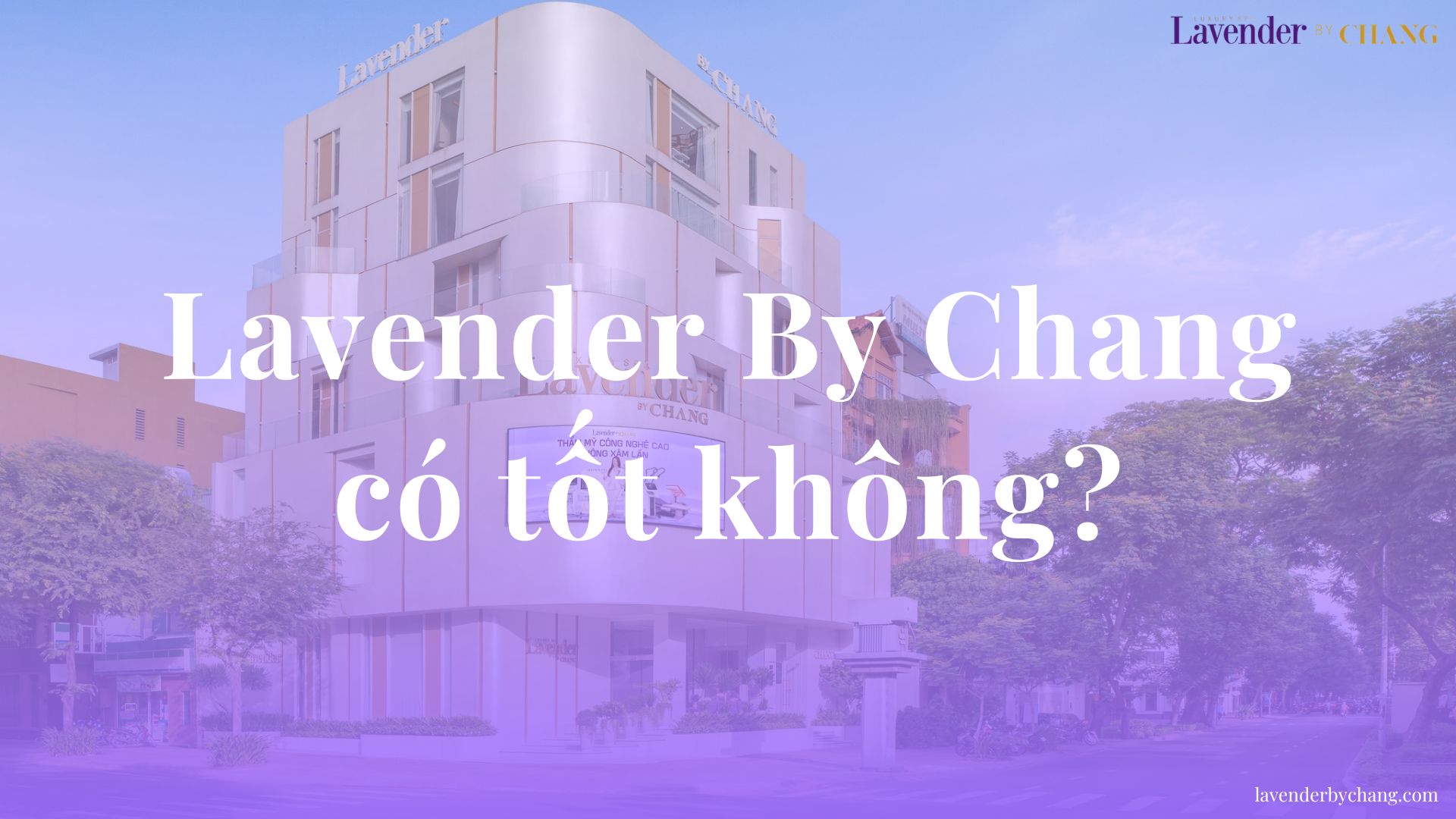 Lavender By Chang có tốt không