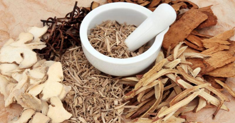 Mặt nạ thuốc bắc trị nám được dùng trong chăm sóc da dân gian