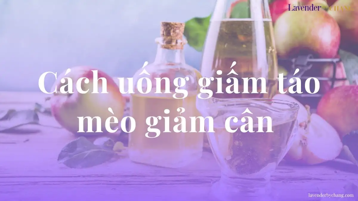 Cách uống giấm táo mèo giảm cân